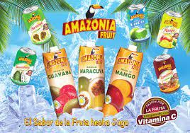 PACK SURTIDO JUGOS AMAZONIA 6 X4